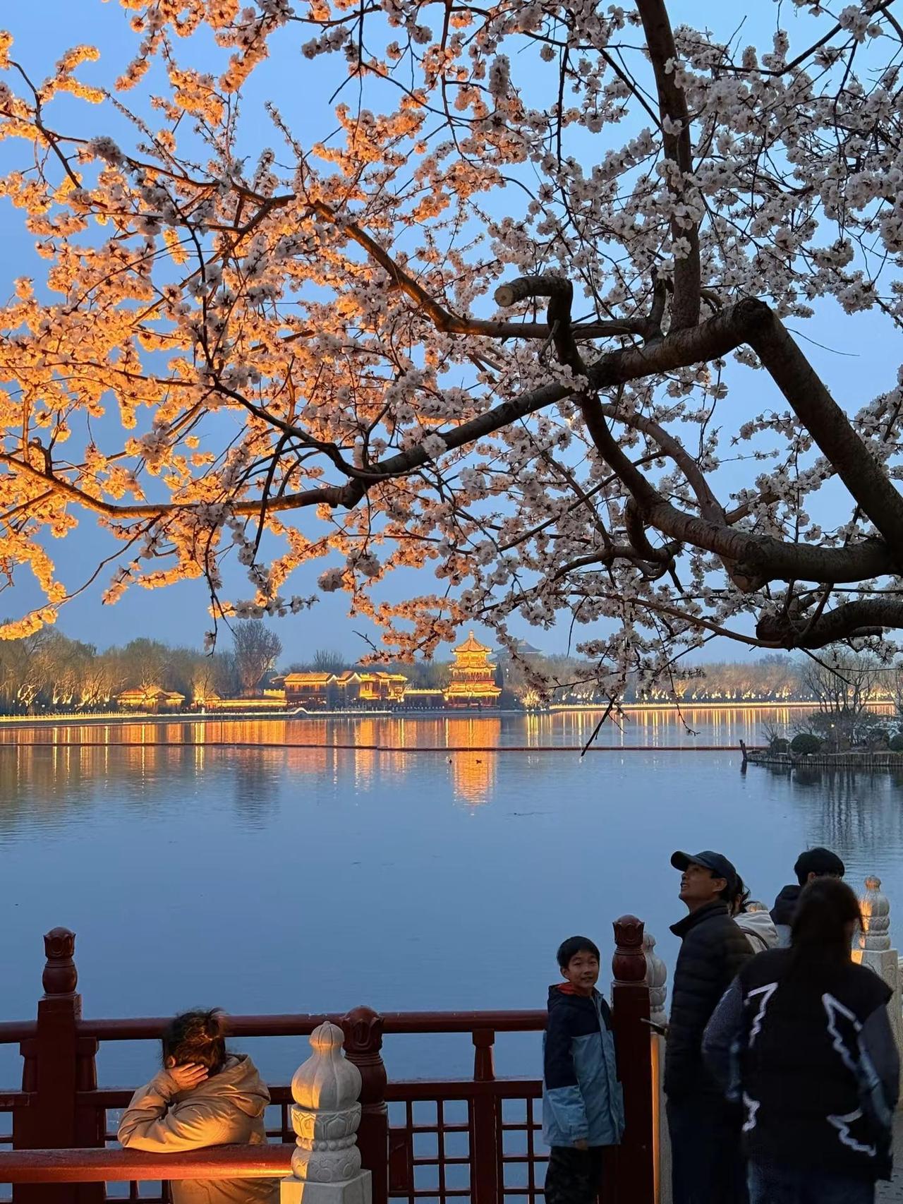 藏好自己的伤疤，这个世界多的是撒盐的人