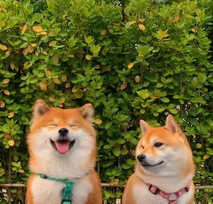 𝕲𝖔𝖔𝖉 𝖑𝖚𝖈𝖐 ⸜❤︎⸝⁺¹ºº“无所图 越简单 越幸福 ”