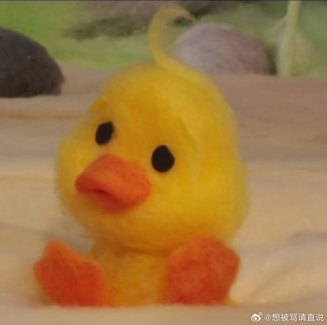 家有萌鸭 