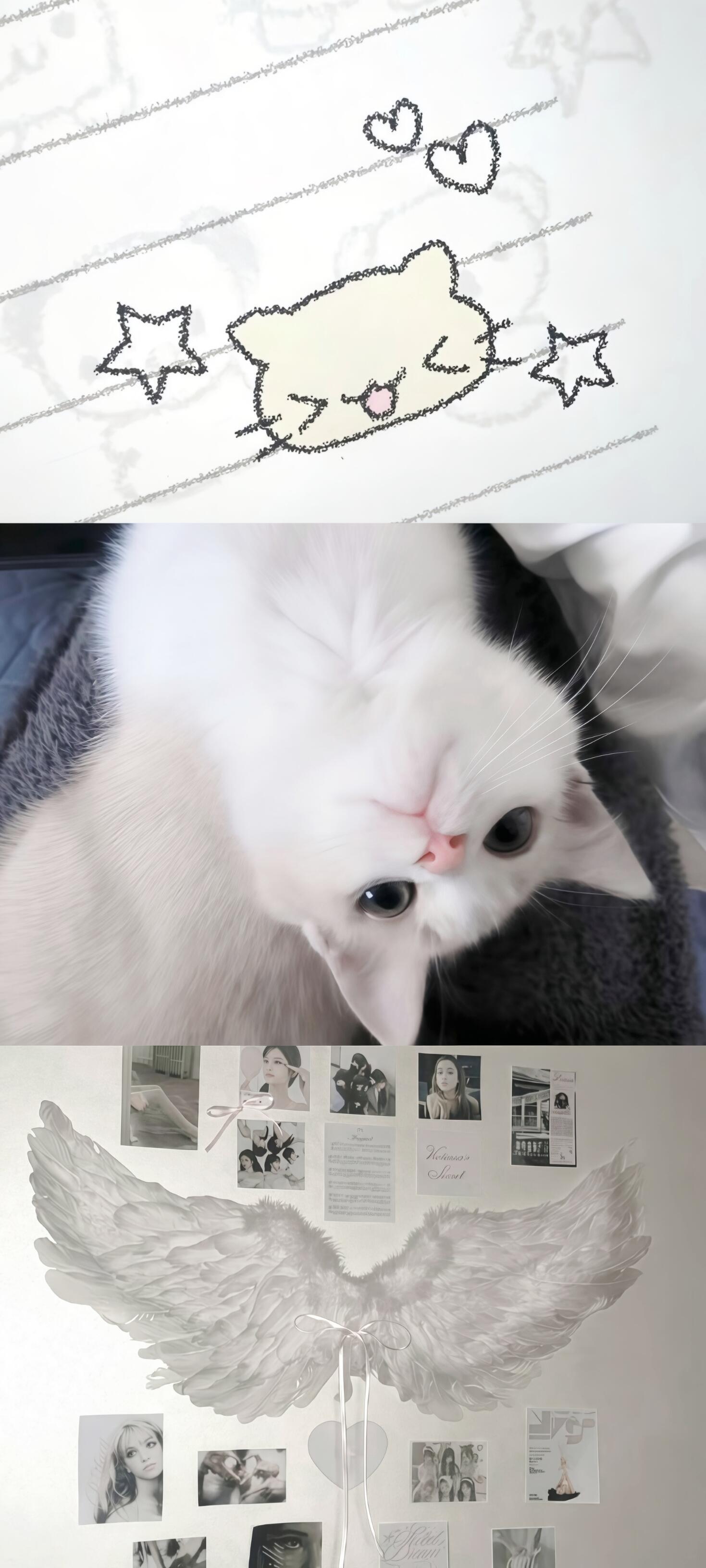 𝐒𝐡𝐚𝐫𝐞丨超萌小猫咪拼接壁纸♡：Missyou 