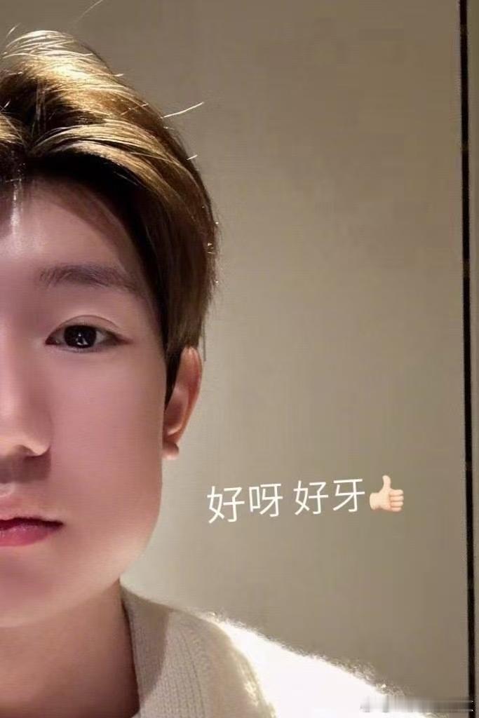 真的变成蜜蜂狗了