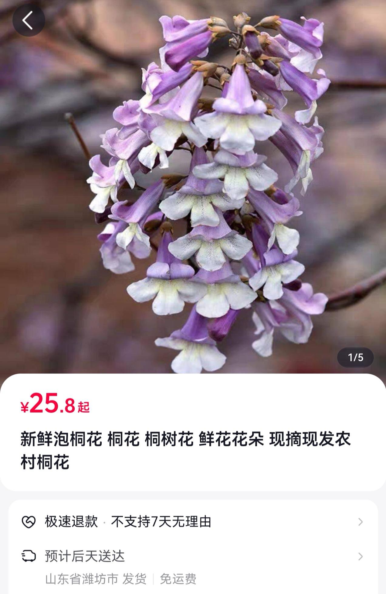 这个新鲜的泡桐树花，38.8元一斤，真空包装加冰泡沫箱发货，你愿意买吗？

真没
