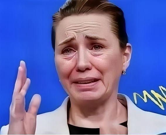 丹麦这老娘们遇到事情就只会哭，假意挣扎两下，就把格陵兰岛送人了。
现在的欧洲，大