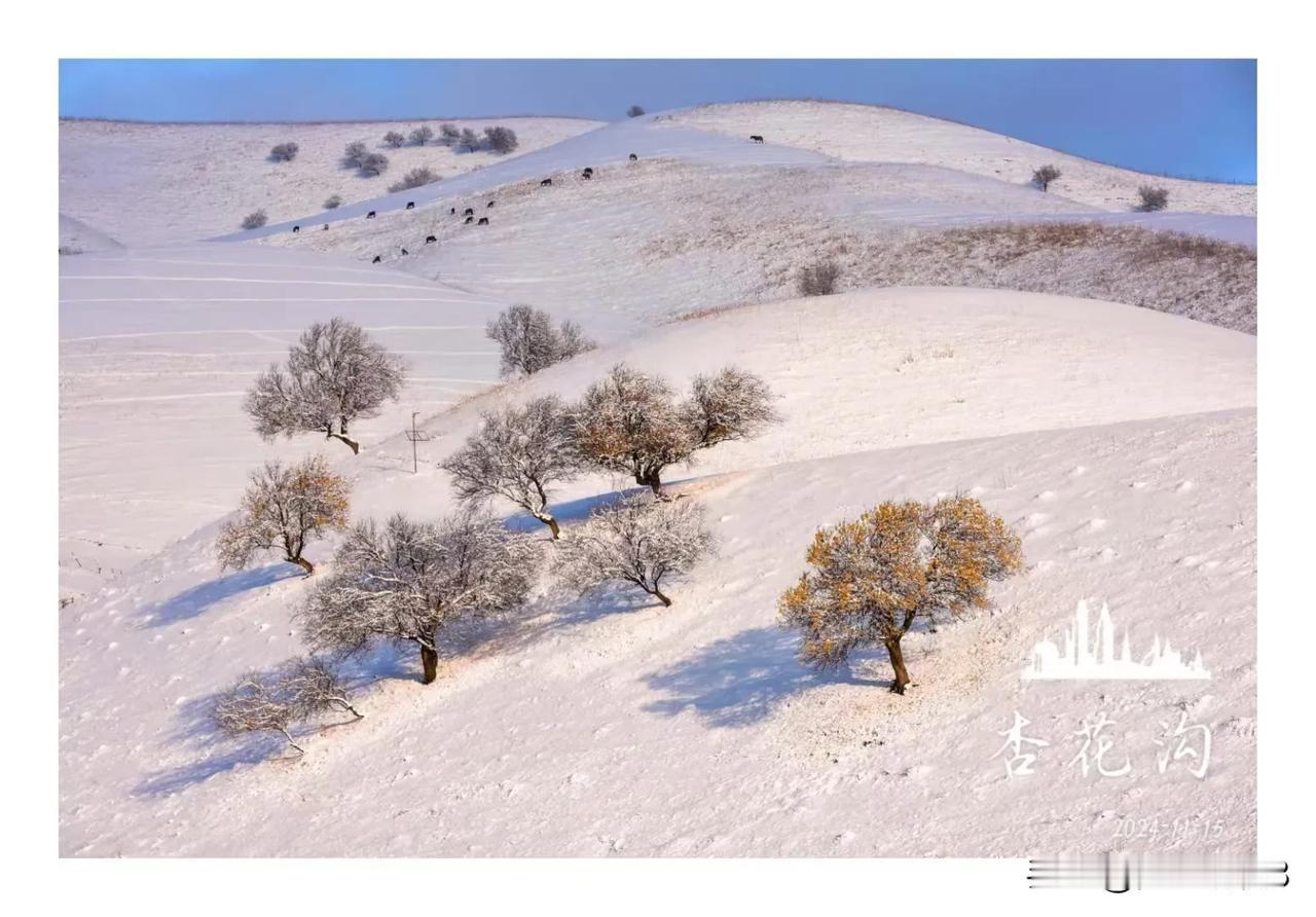 霜霰纷扬覆杏沟，乾坤素锦墨香留。
寒云霭霭添幽意，白雪皑皑映赤流。
瞻远岫，裹银