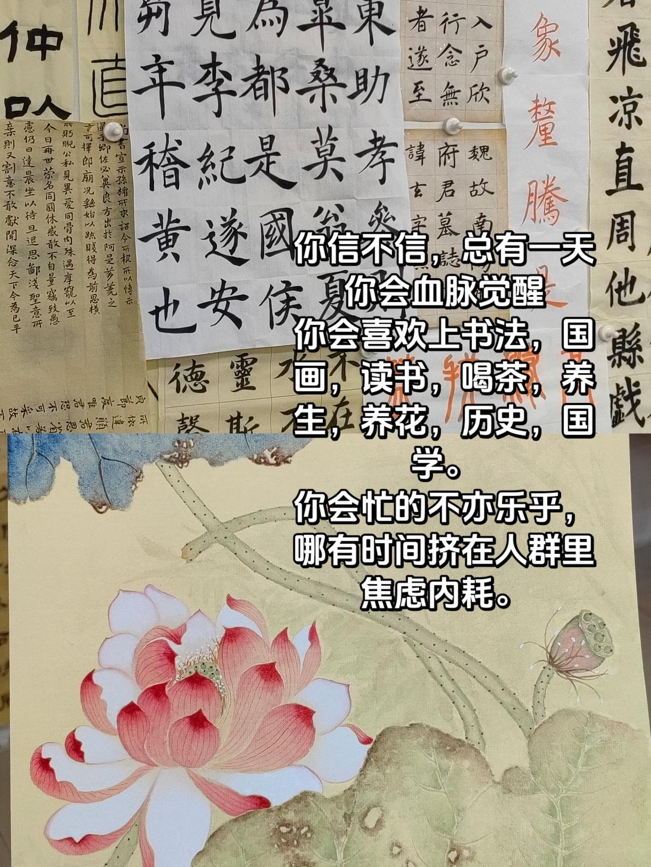血脉觉醒藏不住啦！成人书法 国画 血脉觉醒