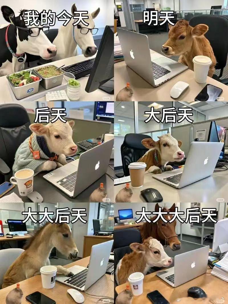 打工人牛马打工人的碎碎念[超话] ​​​