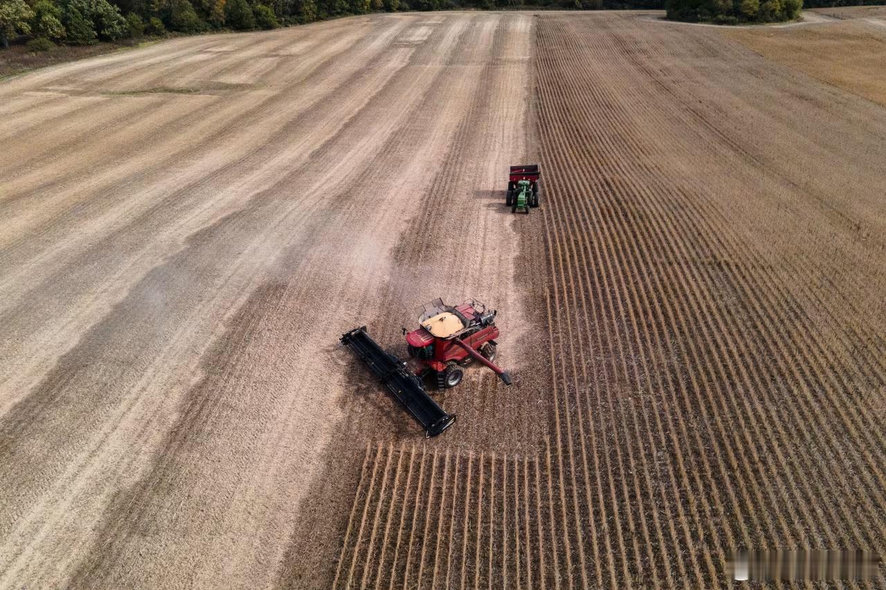 【大豆种植户：特朗普的120亿美元农业援助计划并非可持续的解决方案】[政府干预市