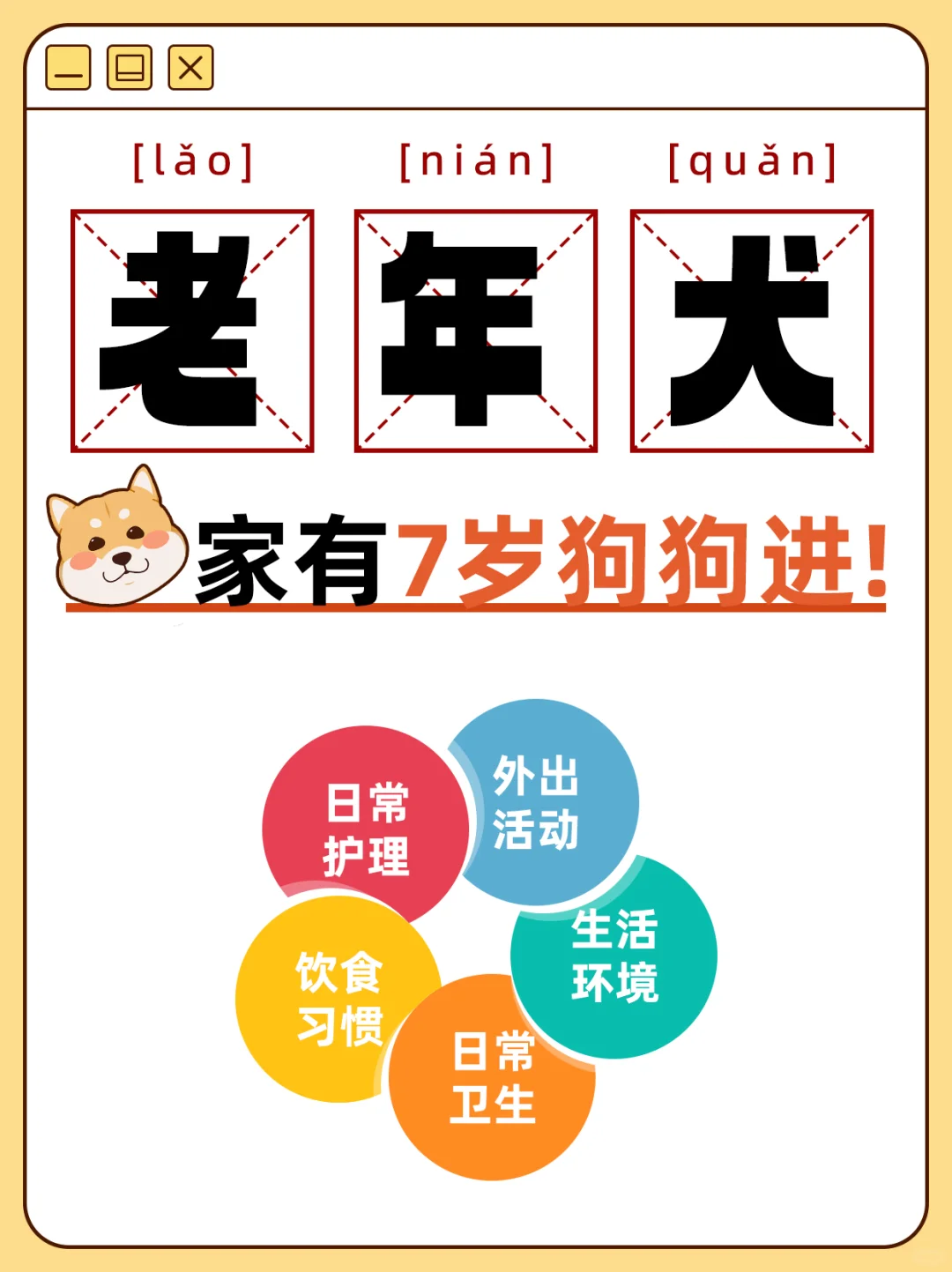 老年犬喂养指南 | 家有7岁+狗狗铲屎官必看！
