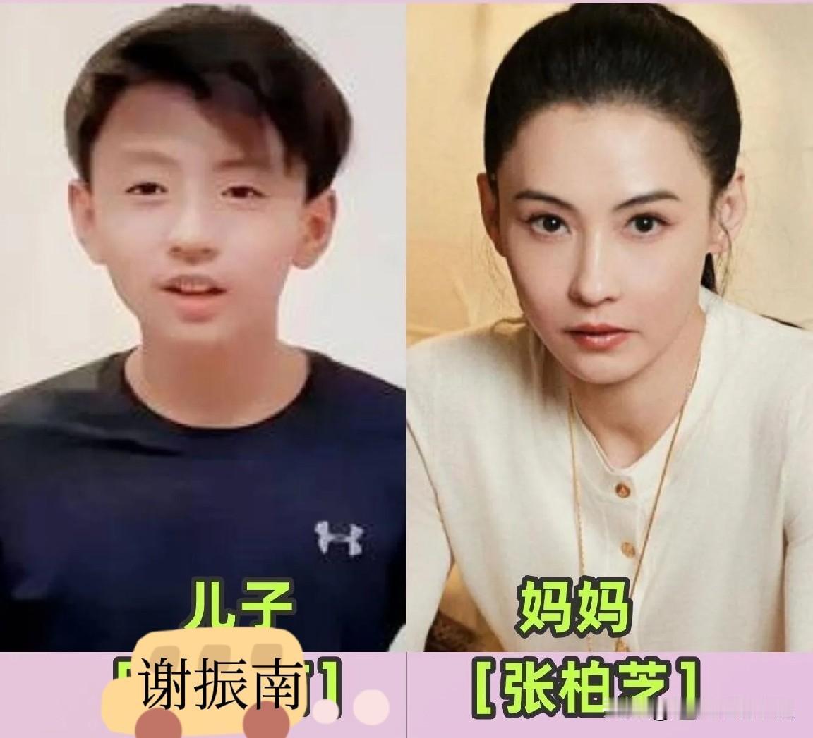 女星和自家儿子，看看谁的基因更强
来看看明星母子颜值大比拼，强大的基因太神奇！