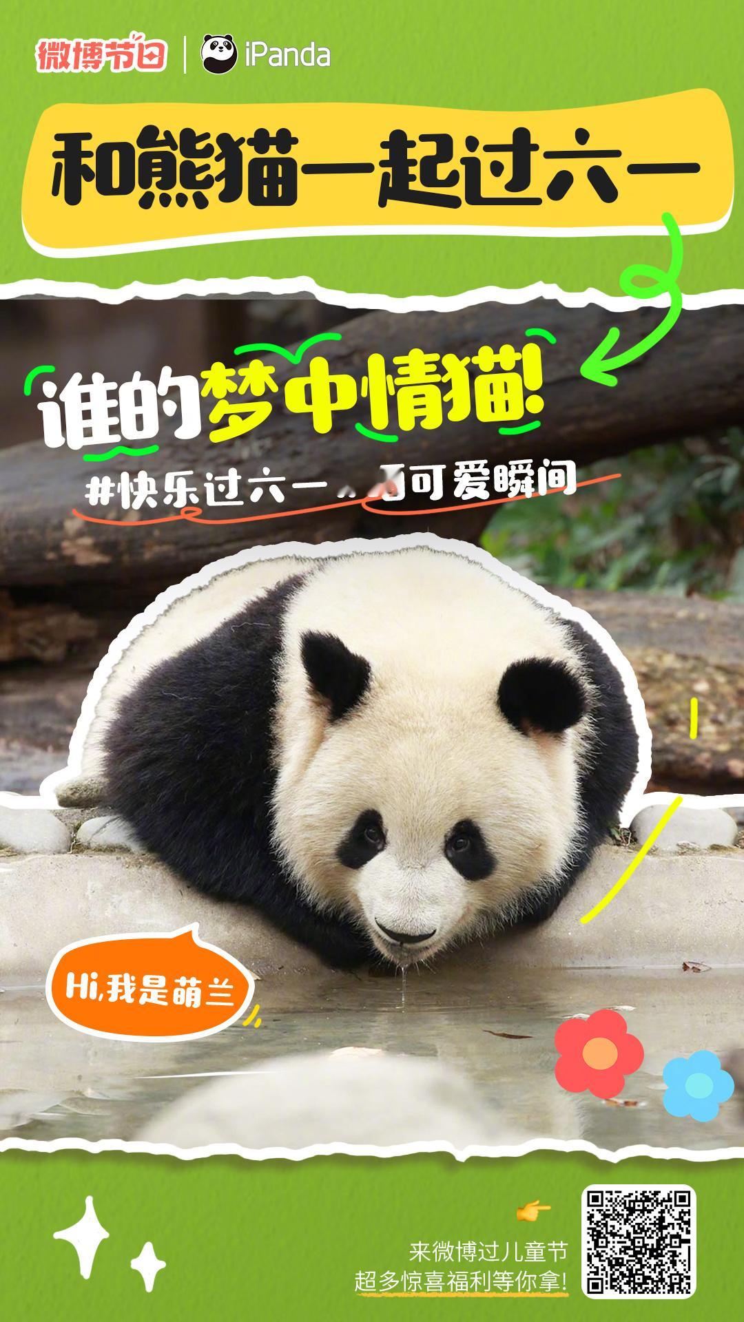 【#大熊猫送最萌儿童节祝福#[哇]】六一“爬梯”当然少不了超萌可爱的国宝～众团子