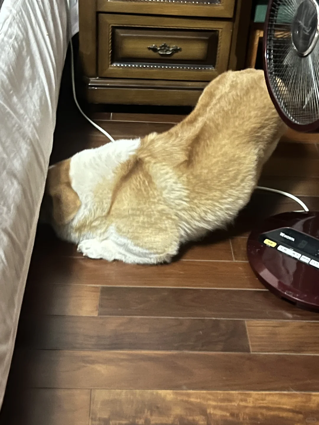 阳完之后我只要这样屁股就会抽筋