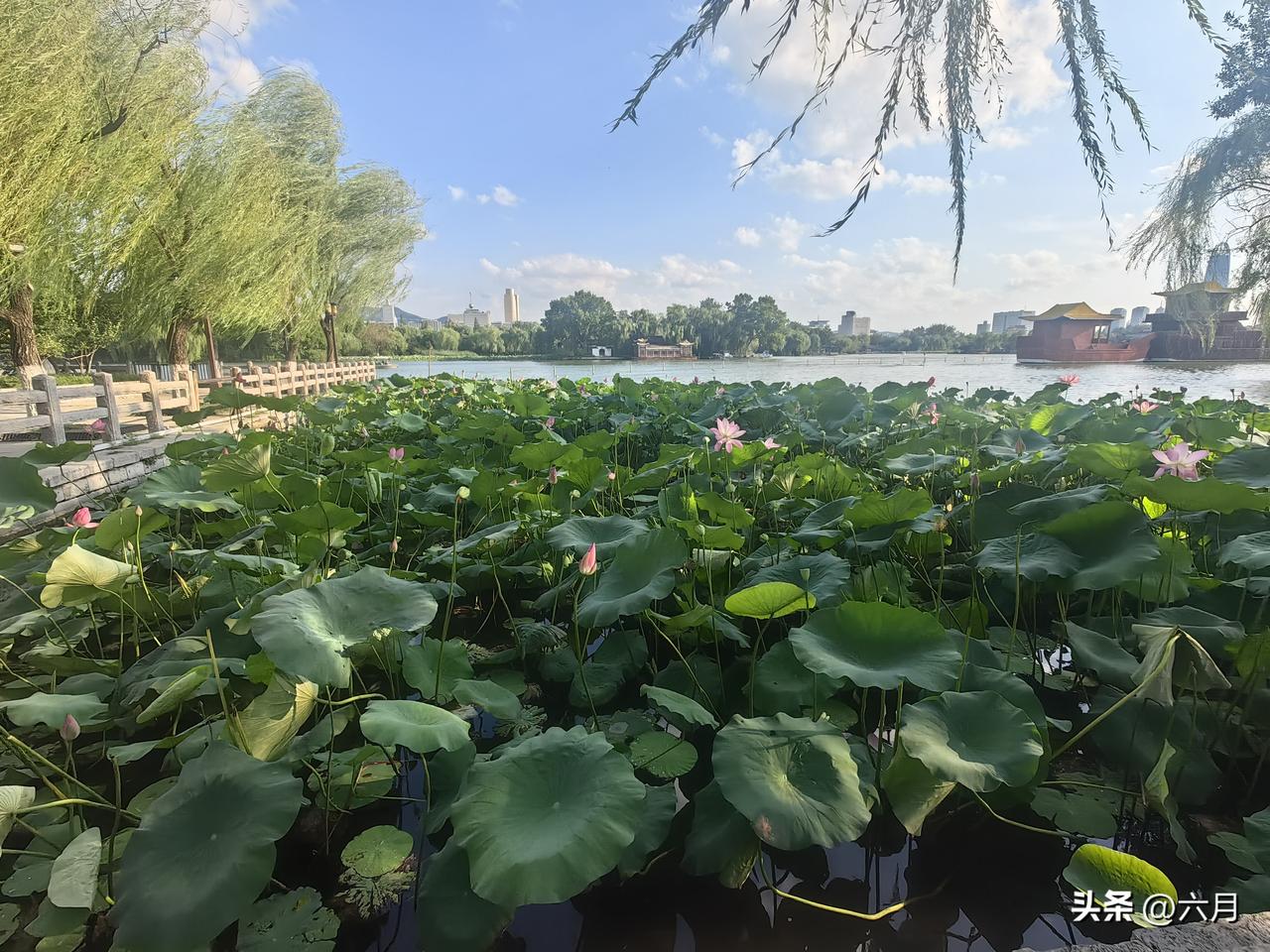 这几年发现，多读书并提高认知，不一定能提高人生上限，但一定能决定下限，最起码有个