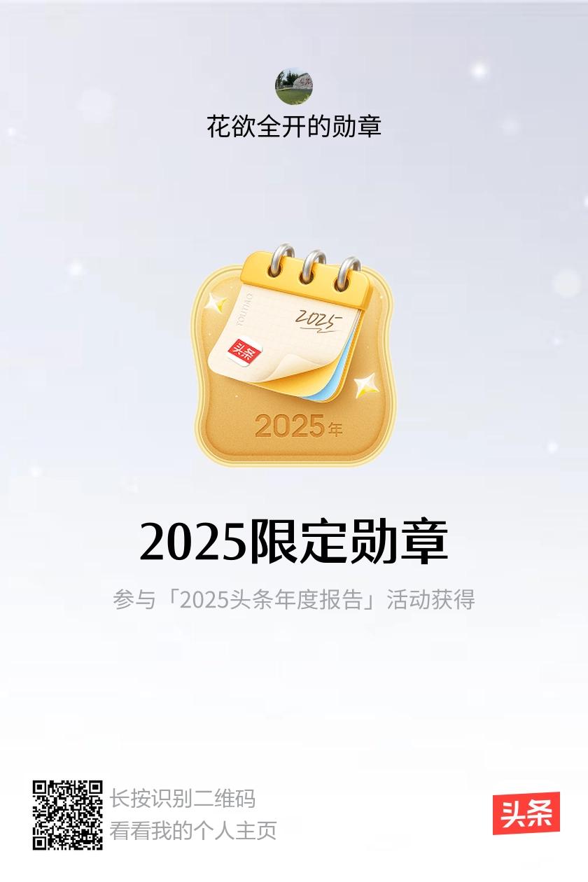 我获得了【2025限定勋章】！邀请你一起集头条勋章、记创作之路！