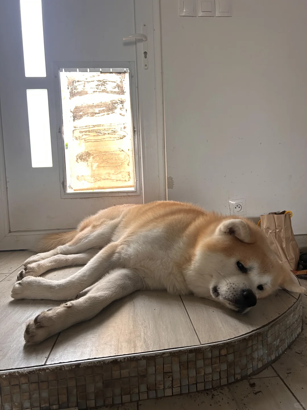 就这两下子，他哥得学一辈子