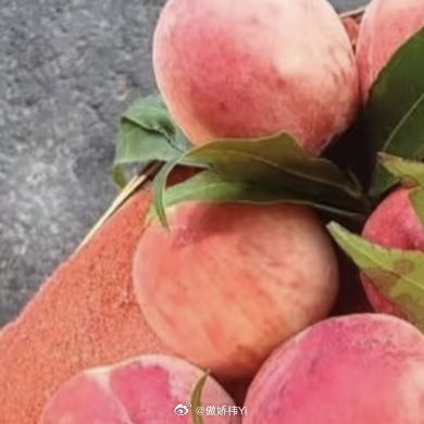 0000桃子的种植方法：一、前期准备：选苗+选地1. 品种选择- 南方：选早熟品