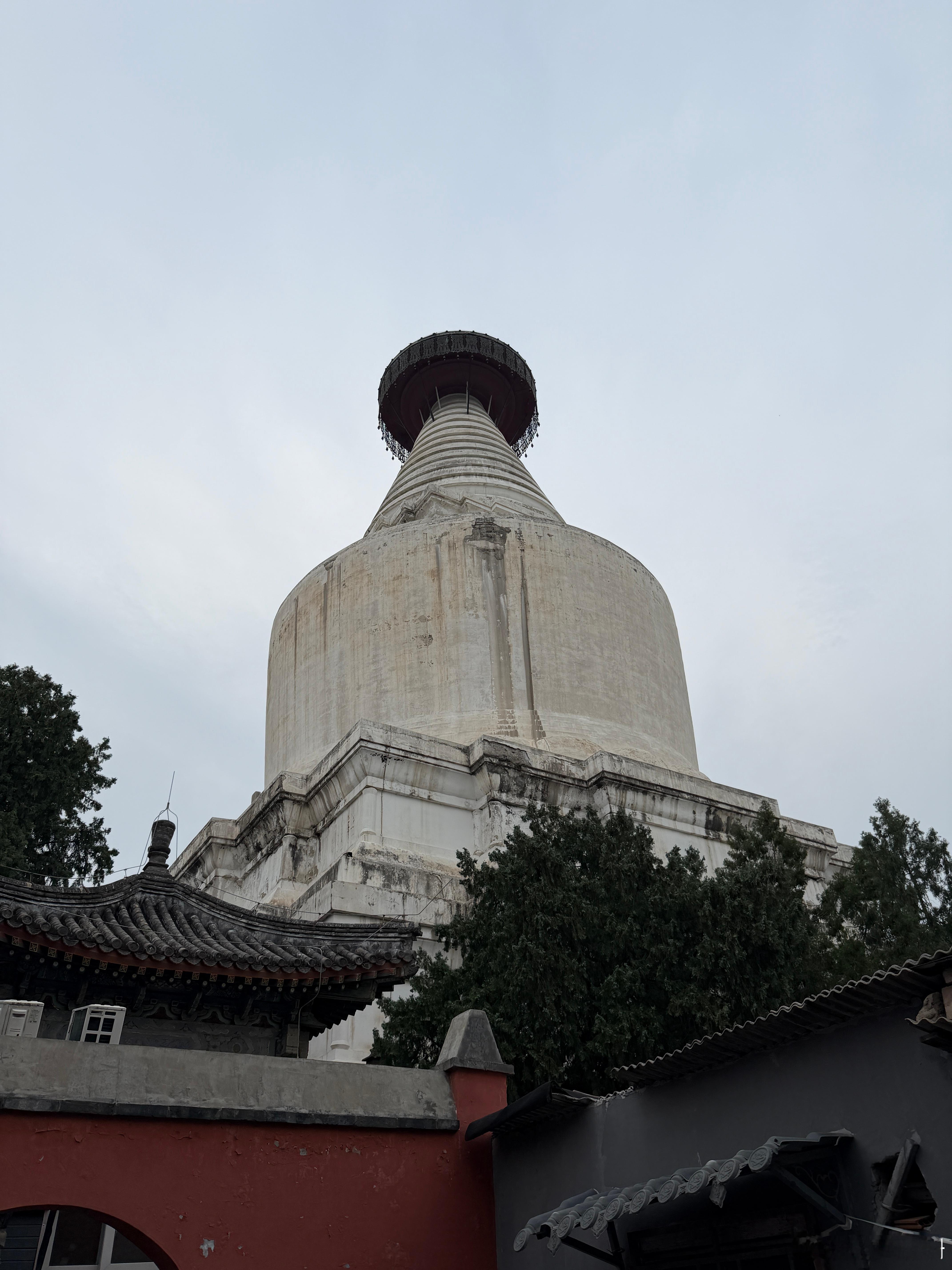 我太爱白塔寺了，每次来都能感觉彻底接地，再也不羡慕朝阳区人民了