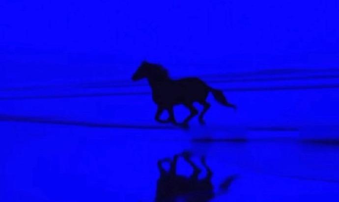 鼓起勇气去做！哪怕心里害怕也要做，即便充满恐惧也坚持做。就算感到迷茫不知所措，或