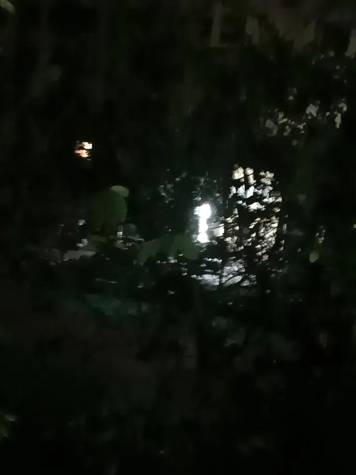 分享一张城市夜晚的照片寂静的夜晚，大家应该都睡了吧？晚安