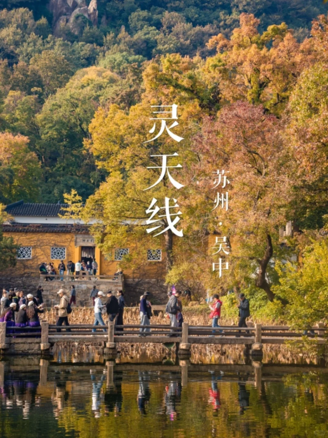 “吴中秋色”灵天线 | 古道悠悠