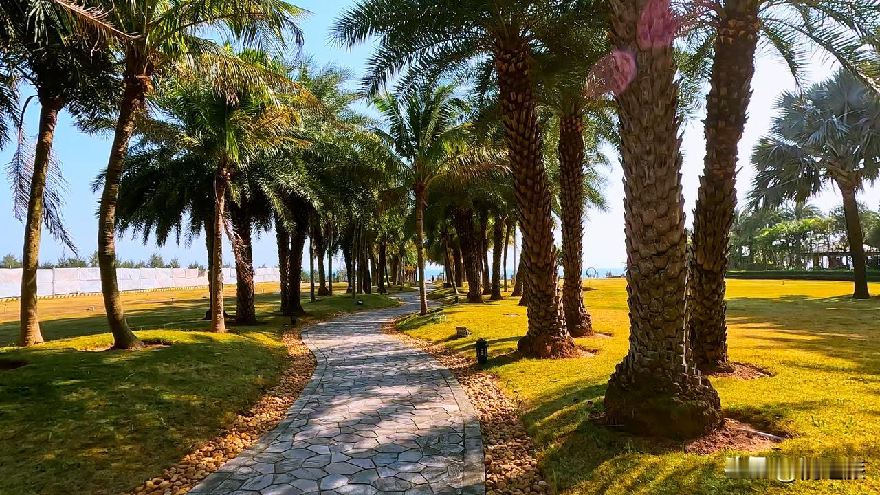 冬天去海陵岛太好了！人少清静，可以慢慢游览美景，好像承包了整个沙滩一样。
一月份