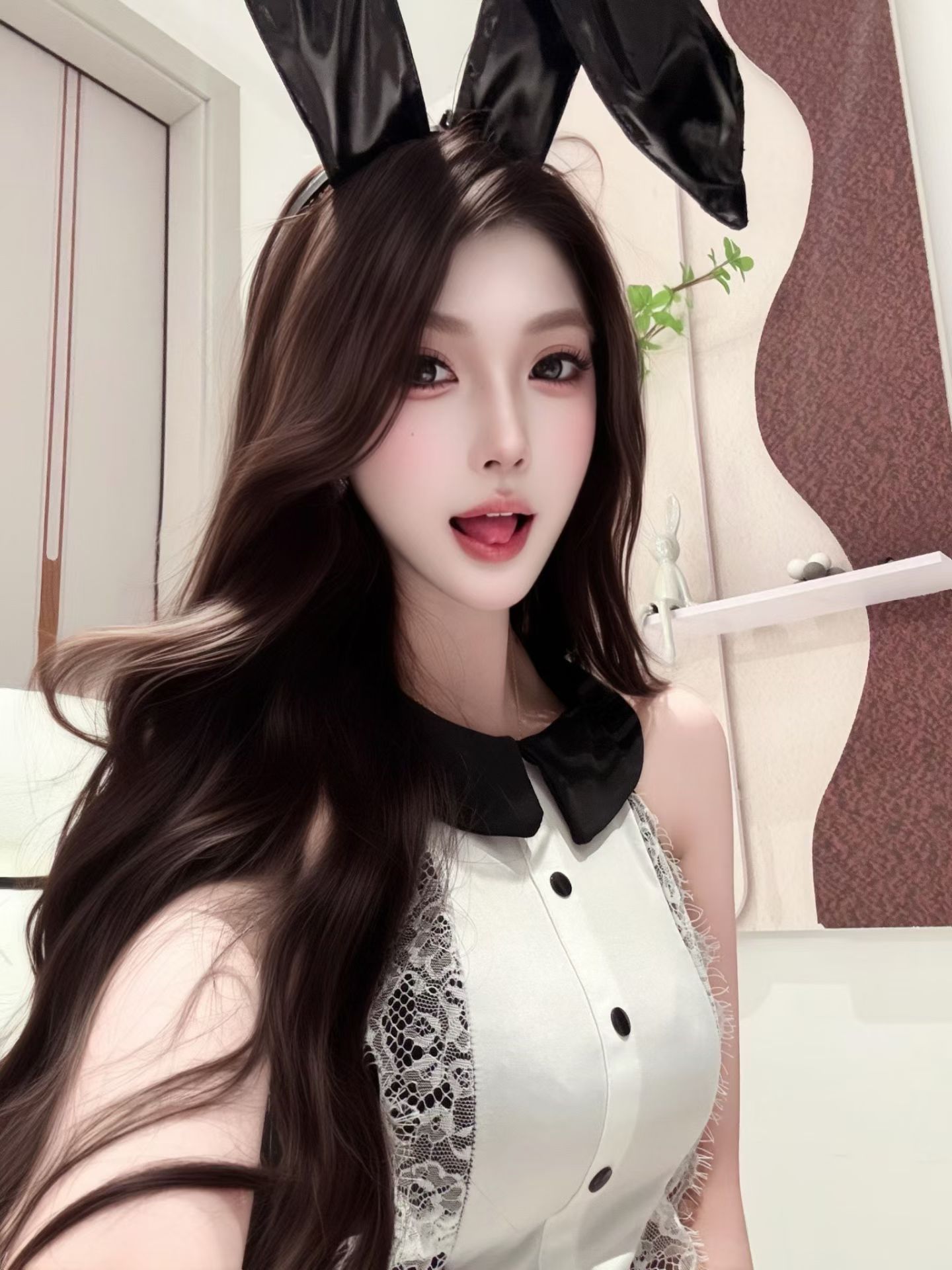 🐰 
