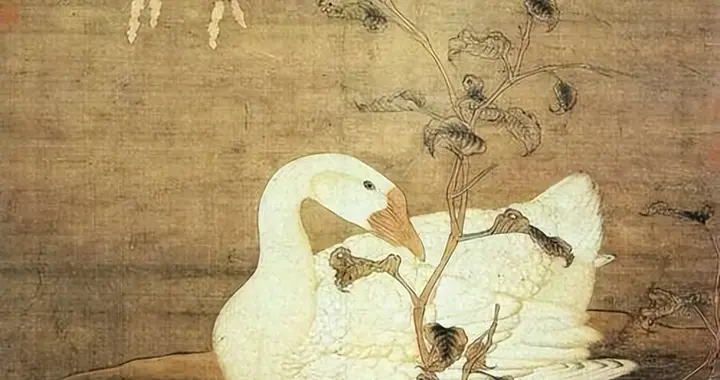 相比鸡鸭，鹅在现代生活中并不算常见，为何古人却如此钟情于鹅？