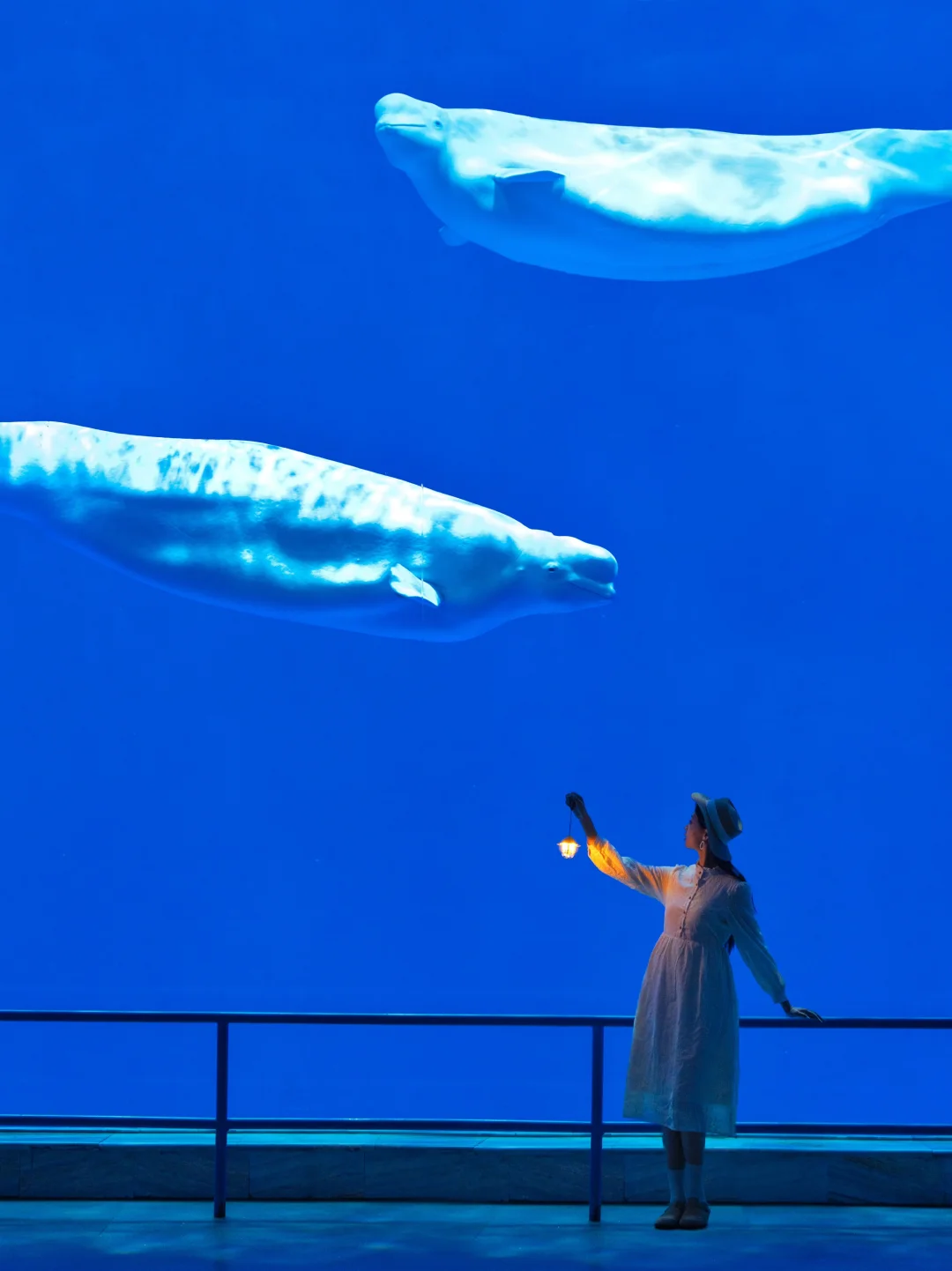 在江苏找到了海底总动员🐬只有0.1%的人去过