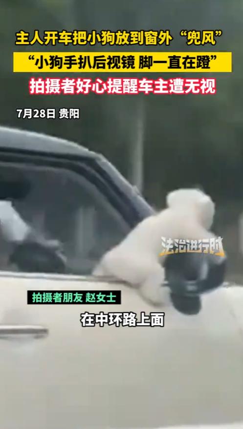 “太坏了！”7月28日，贵阳，一主人开车把小狗放到窗外兜风，路过女子好心提醒，反