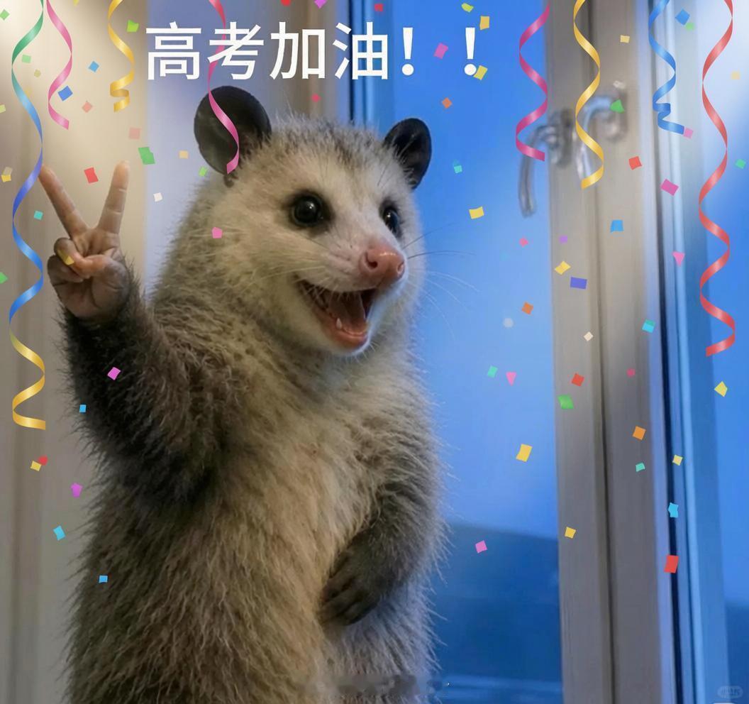 ✨祝所有莘莘学子旗开得胜，高考大捷落笔生花，得偿所愿未来坦荡，前程似锦高考加油考