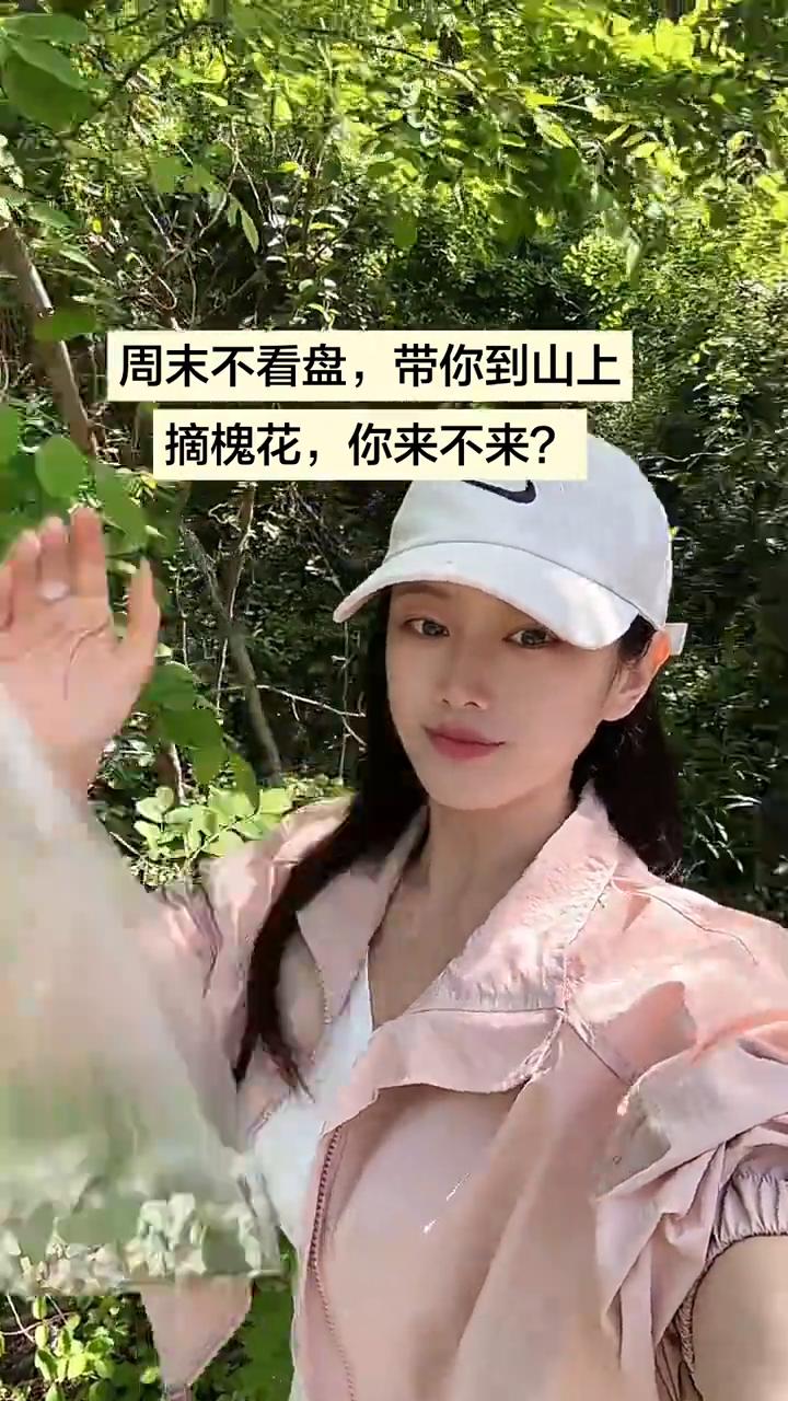 周末不看盘，带你到山上摘槐花，你来不来？