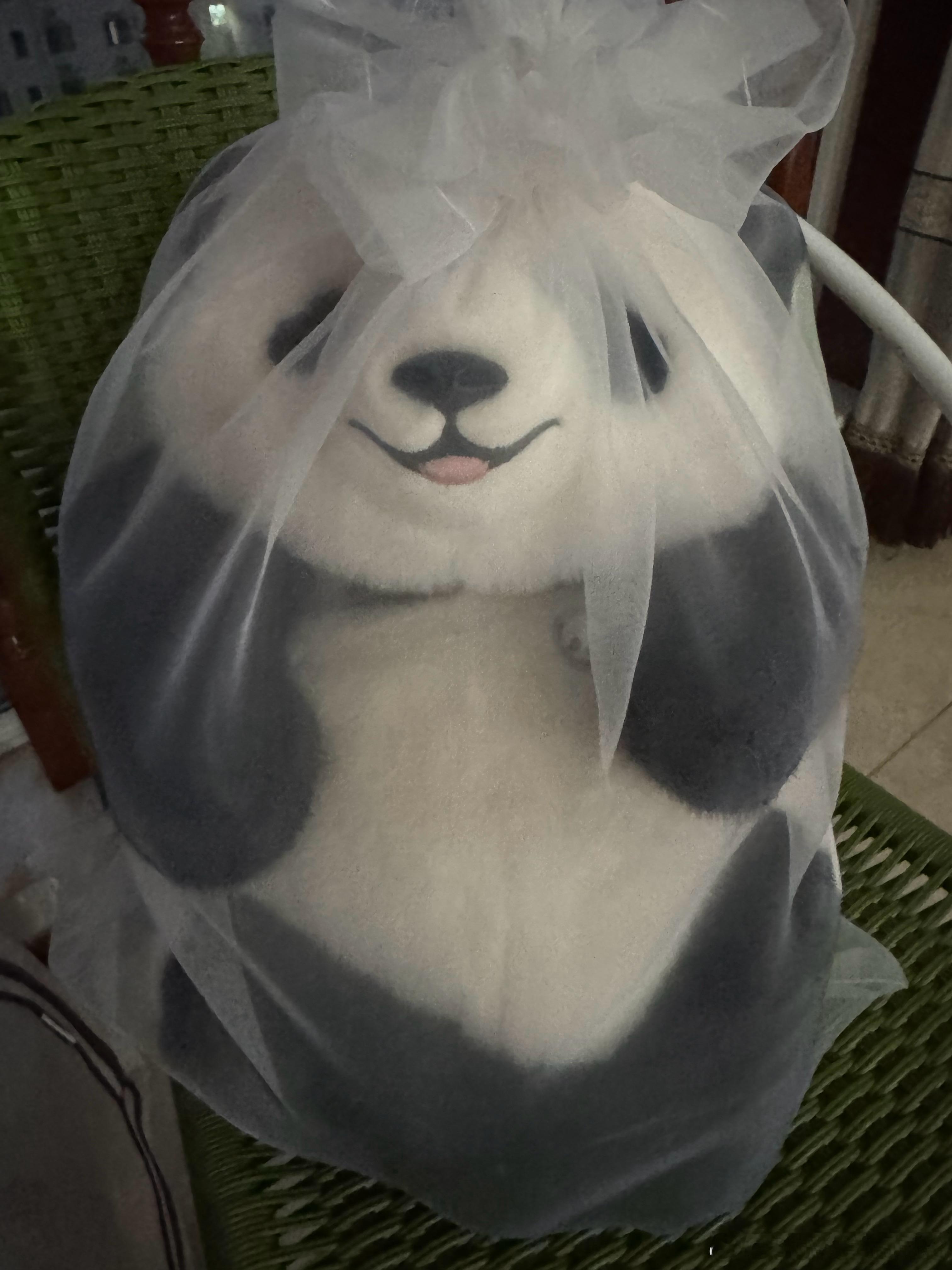 花花？🐼 ​​​