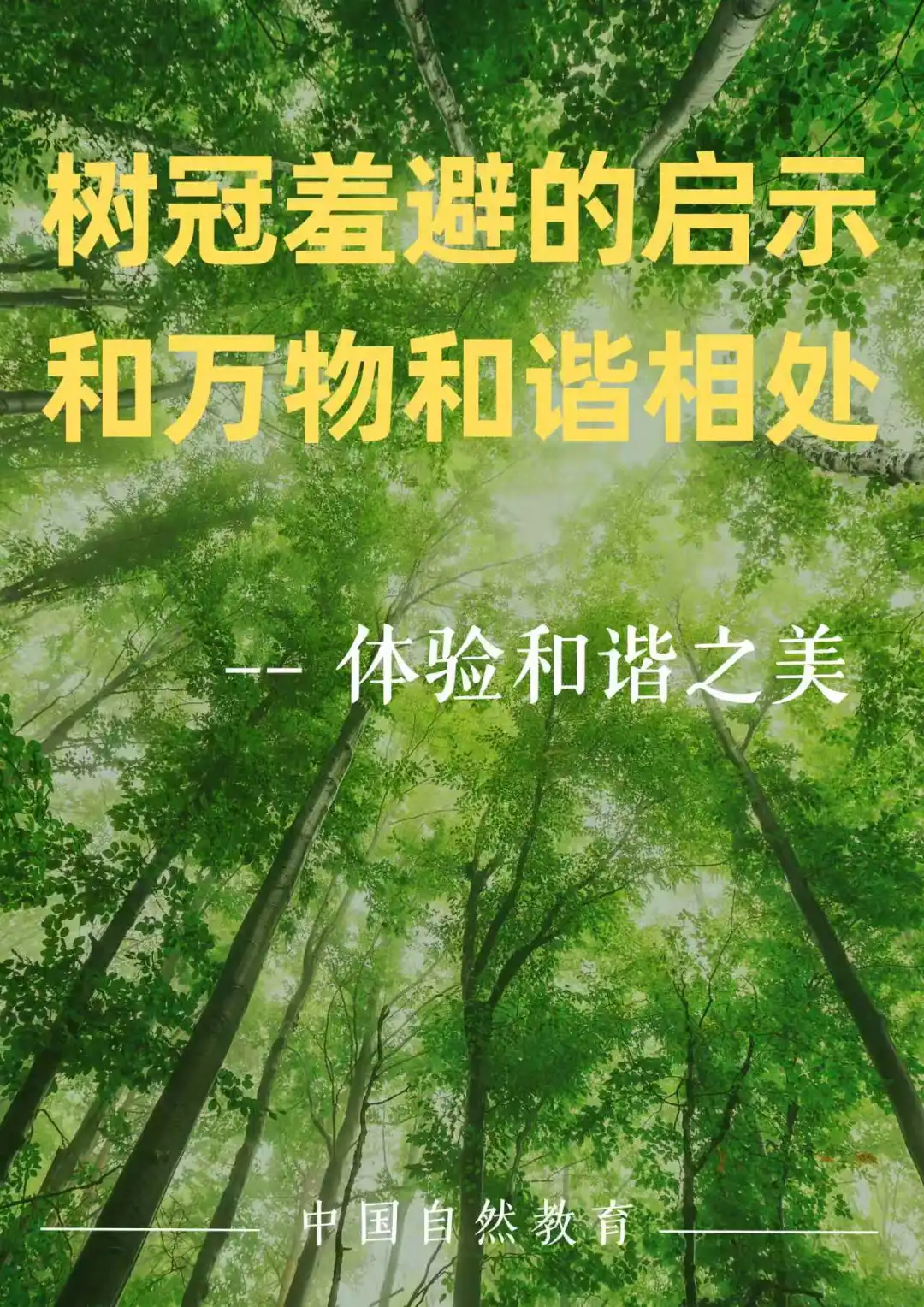 科普｜树冠羞避的启示