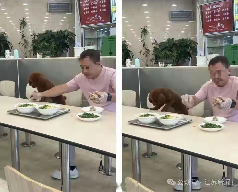 沈阳拉面店出现顾客带狗狗上桌就餐的争议事件，店家后续的处理态度十分值得称赞。门店