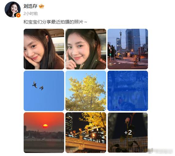 刘浩存的近期拍摄 刘浩存的近期拍摄和宝宝们分享一下呀，真的是拍到了很多日常生活中