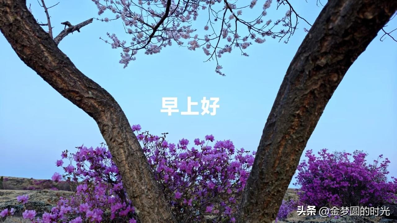 亲戚朋友借身份证怎么办？
如果有亲戚直接打来电话说:  借你儿子的身份证用用，明
