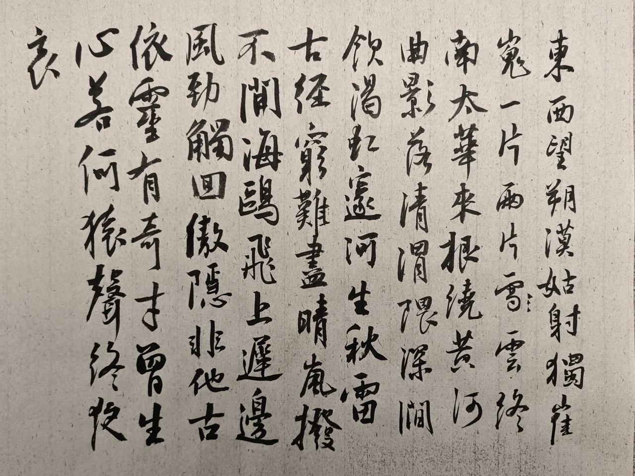 东西望朔漠，姑射独崔嵬。
一片两片云，终南太华来。
根绕黄河曲，影落清渭隈。
深