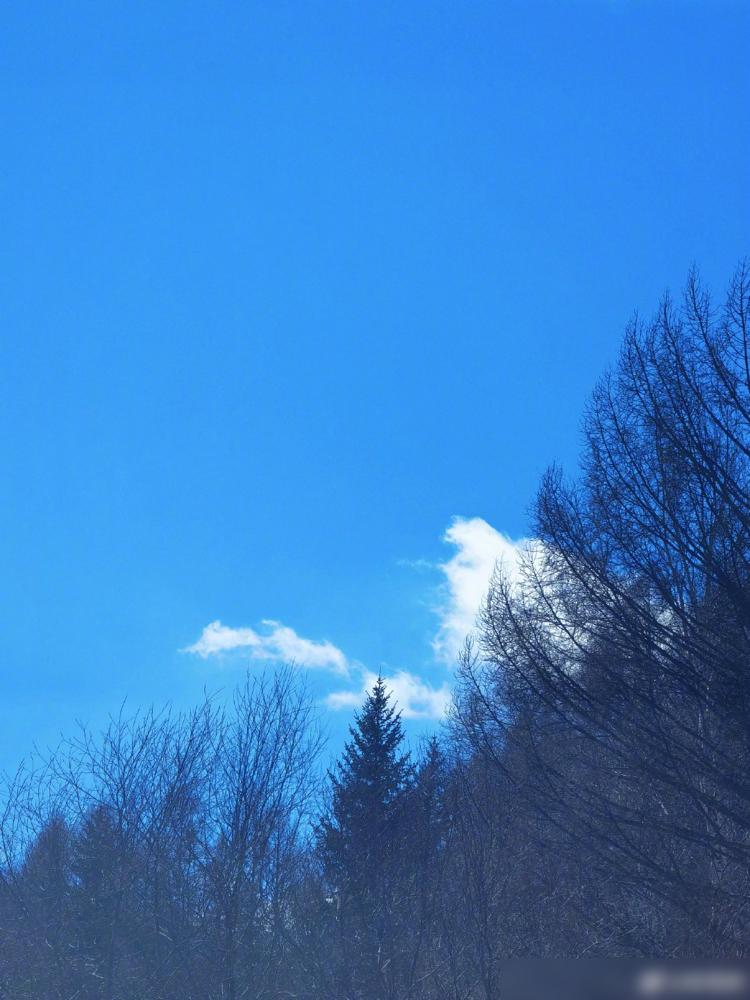 昨天郭晓婷发春游照，说想浪迹天涯。心态倒是够洒脱。
 
她6岁出道，演了快三十年