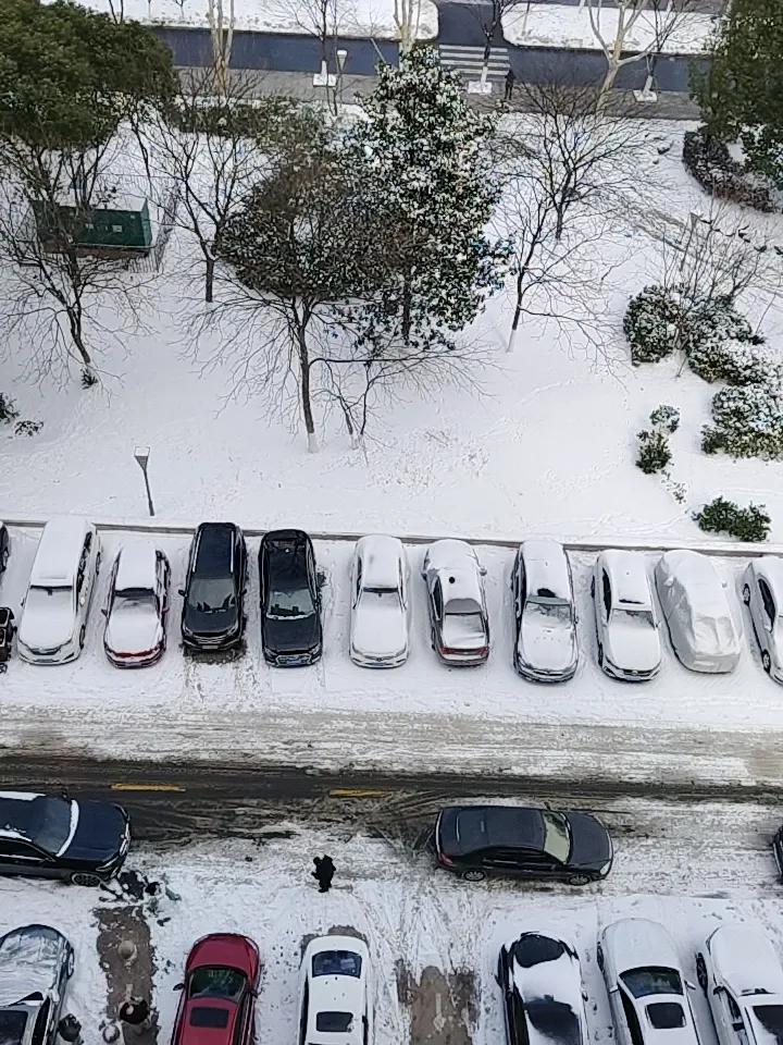 昨天下大雪了，夜里也下了，早上起来白茫茫一片，路上都是在铲雪的人