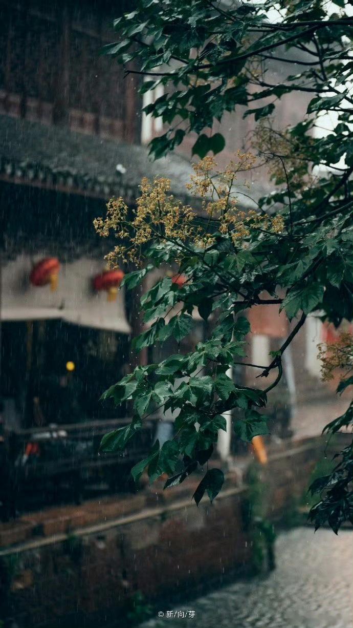 汪曾祺的比喻yyds！·冬天的树，像一些铜板蚀刻。·梨花像什么呢？——梨花的瓣子