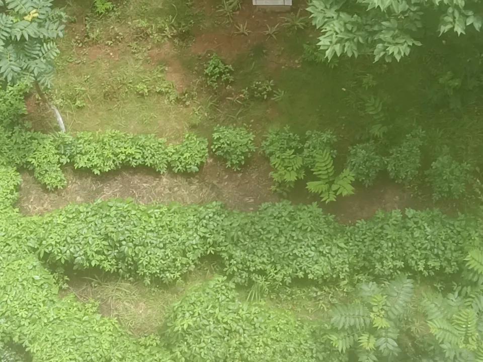 分享随手拍的景色
