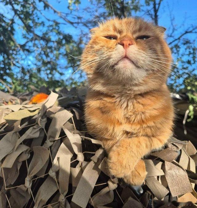 立陶宛临时关闭维尔纽斯和考纳斯机场在该国领空发现来自白俄罗斯的气象气球后,交通运