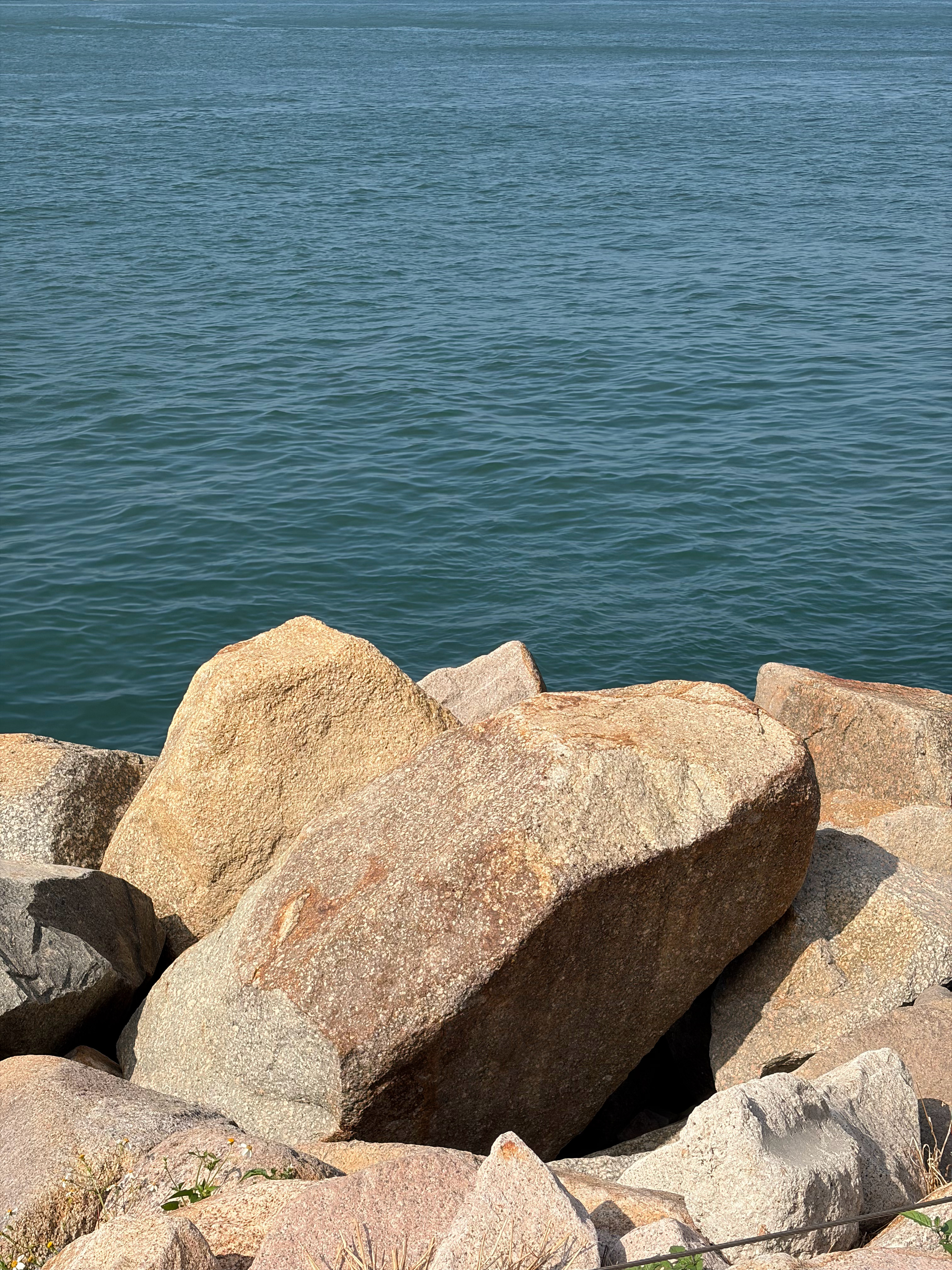 香港一日游第二站：西九龙海滨长廊停留30分钟左右，就看看海景而已 香港·西九龍海