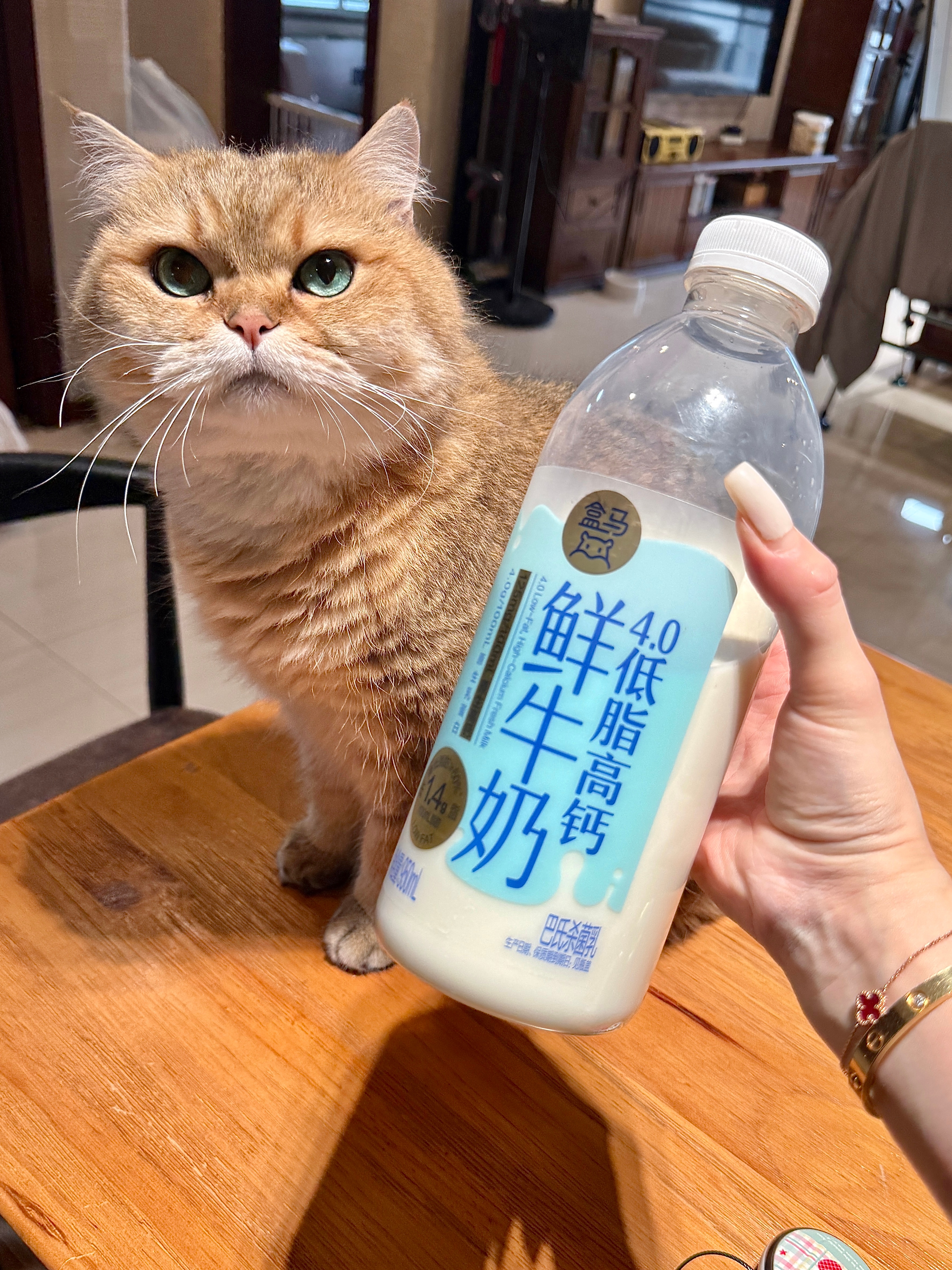 盒马🦛这个低脂高钙牛奶好好喝！！脂肪含量低 口感没那么醇厚 但是很香甜！！！比