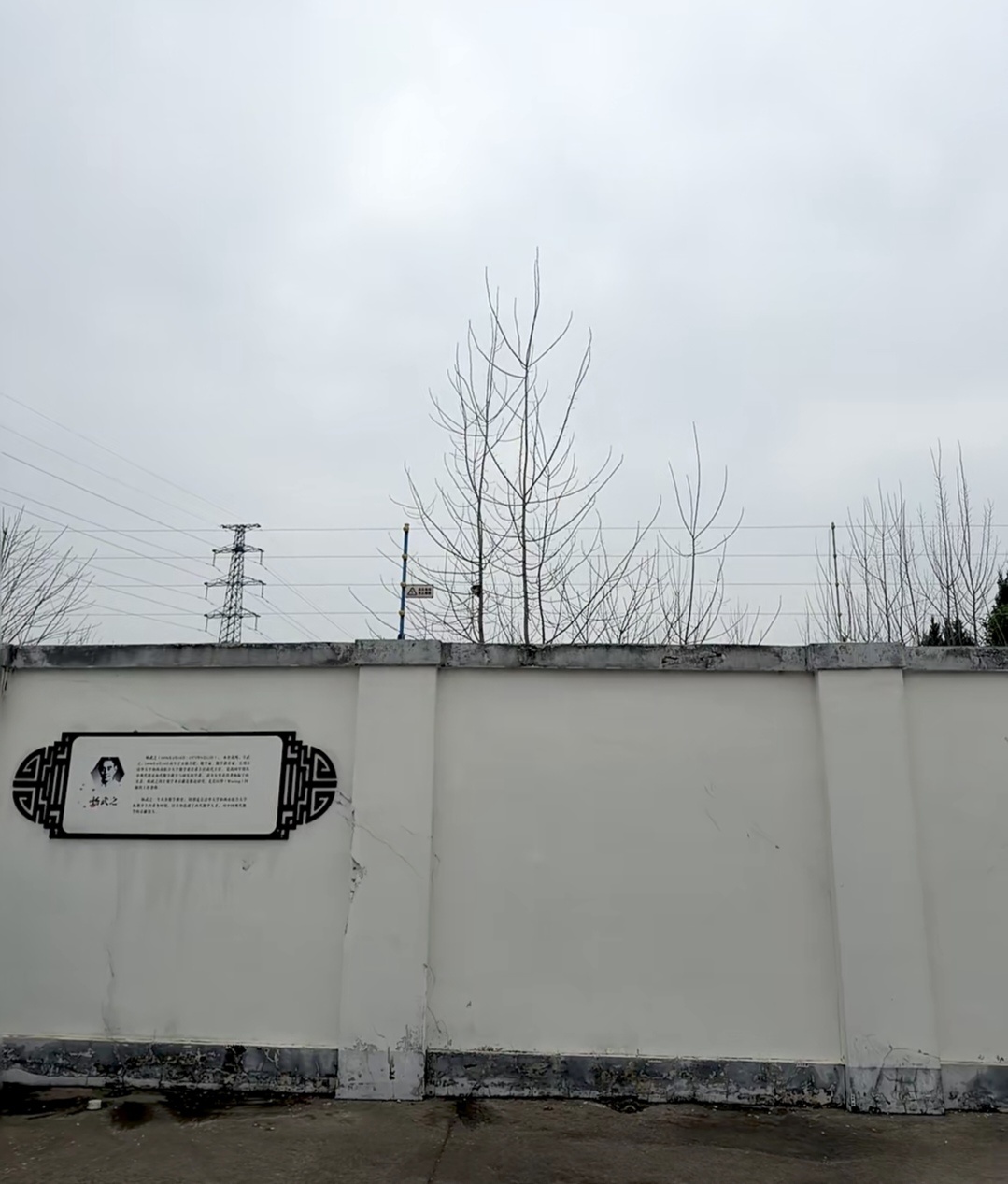 远看喜鹊窝，近看大肥猫 