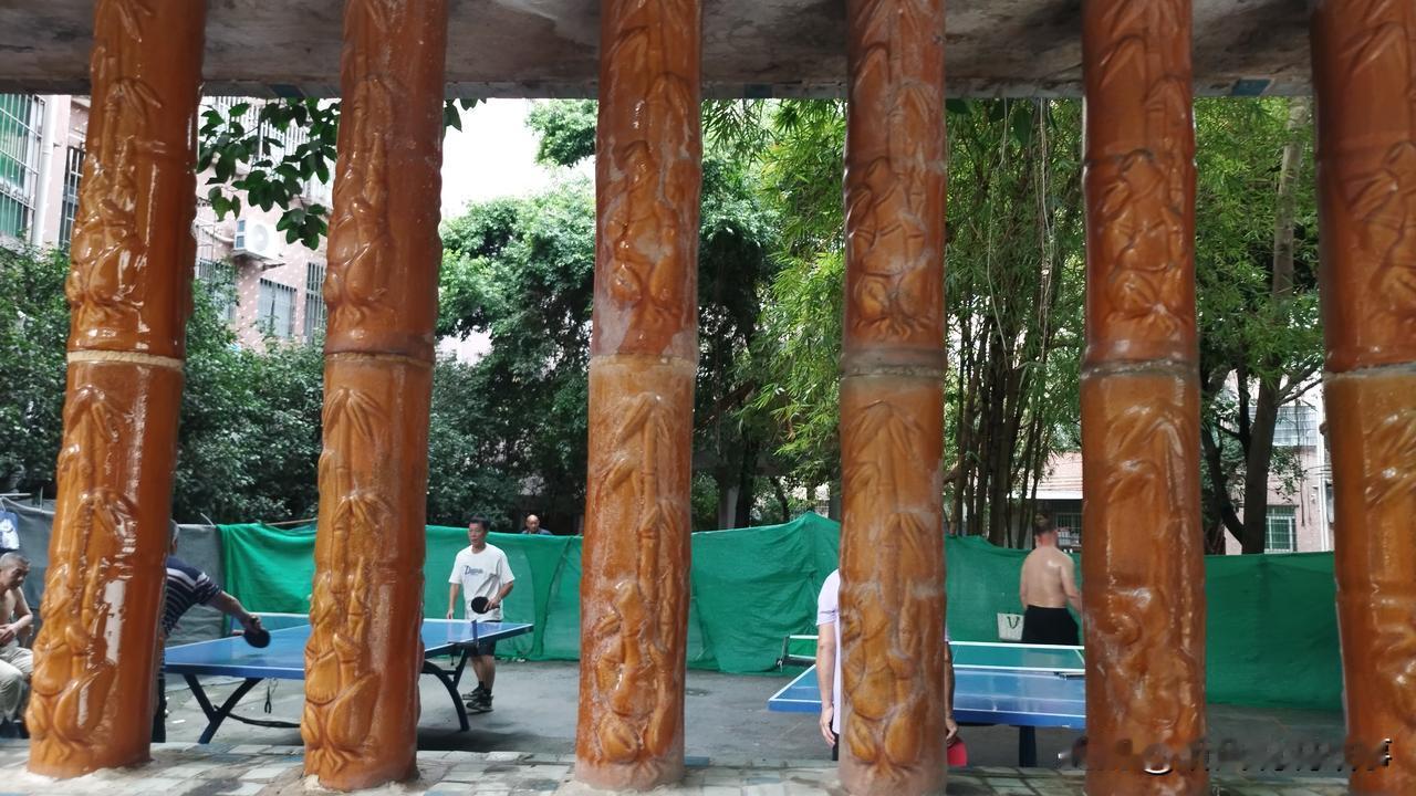 [锦鲤到来]人老了，归宿是养老院吗？

不管任何一个阶段，人都是需要社交，都是需