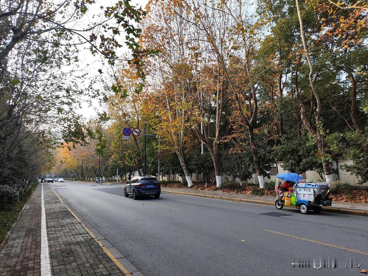 四季一条路
冬日生活打卡季