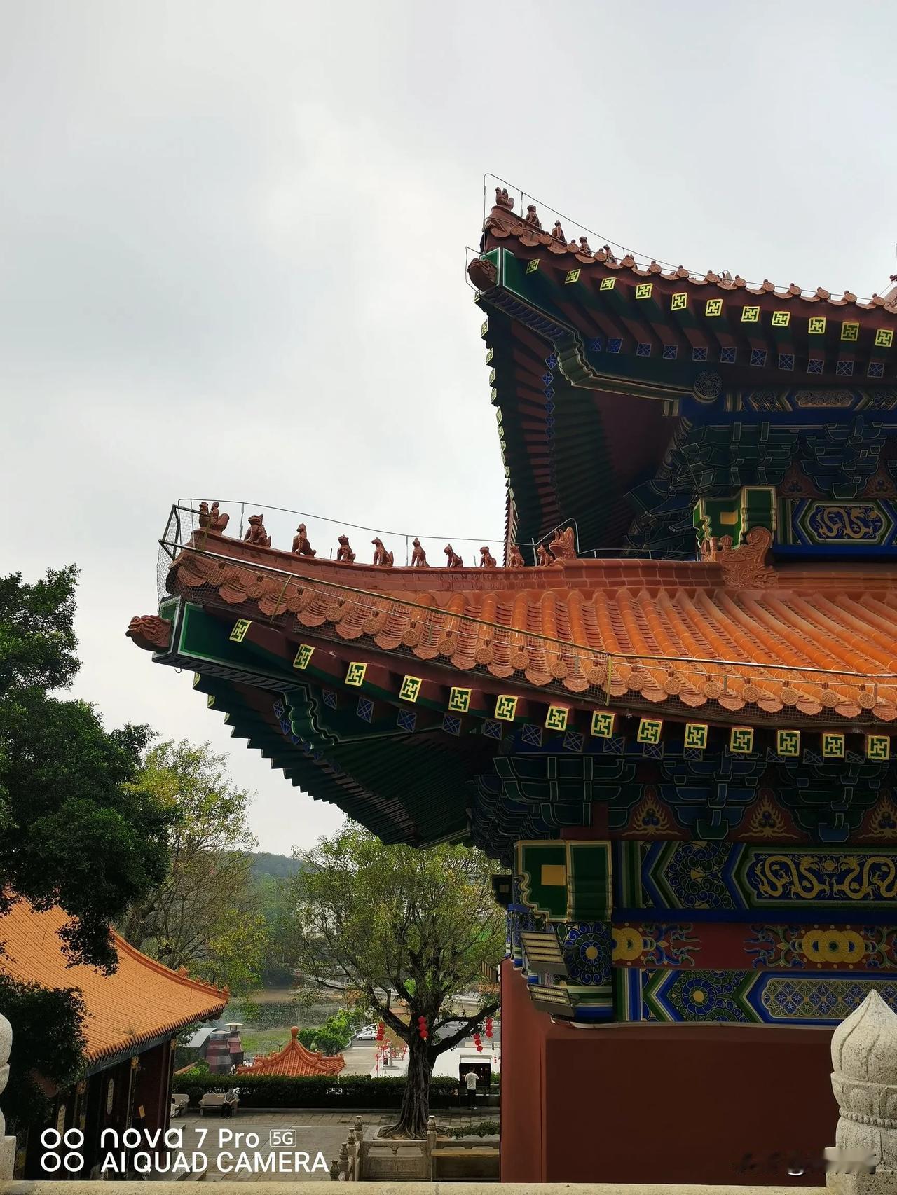 再来人，
有升维，乘愿来的，也有派来出差的！
这些人的身上，有一定的特点，比如: