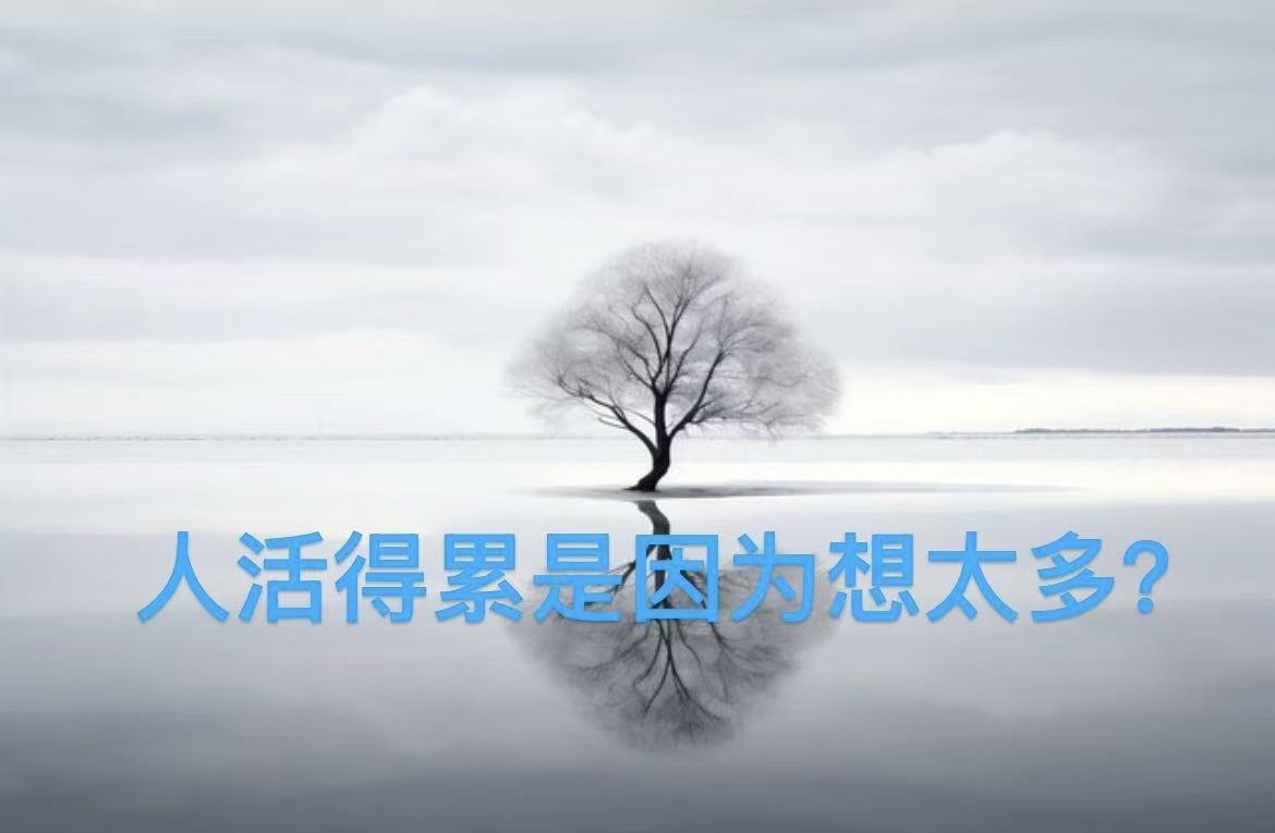 中年以后才真正读懂生活：生活，一半烟火，一半清欢；人生，一半清醒，一半释然。
