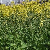 我的今日状态：😁轻松愉快
我这里的天气：☀️晴天