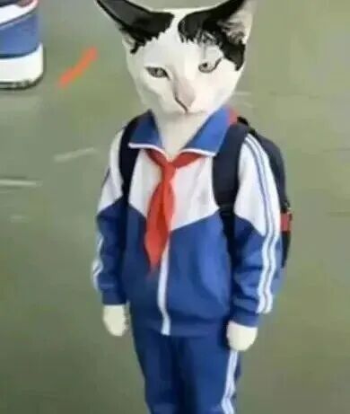 每次取快递，箱子卡在快递柜里拔都拔不出来的时候，我都在想快递员是怎么放进去的。。